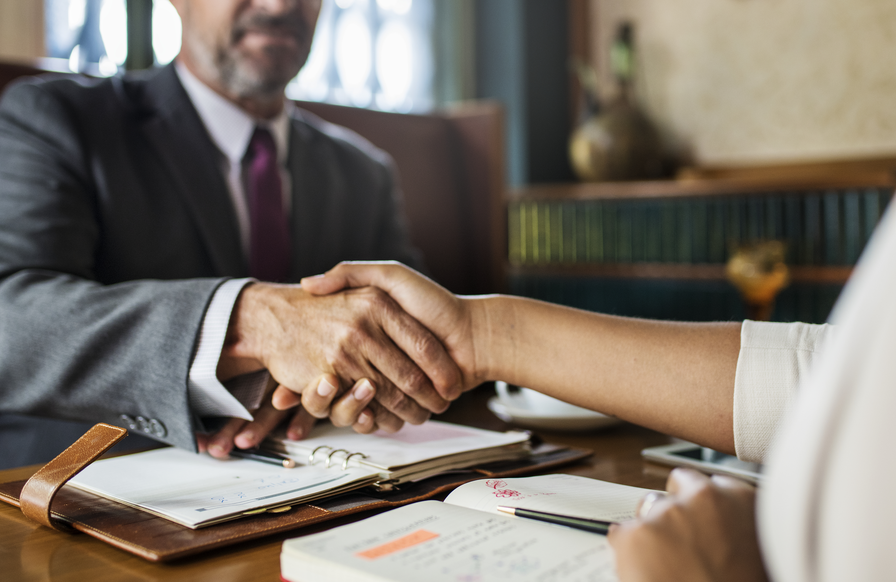 Professional Legal Team